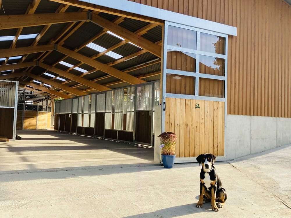 Hof_Fröhling_Impressionen_Pferdepension_02