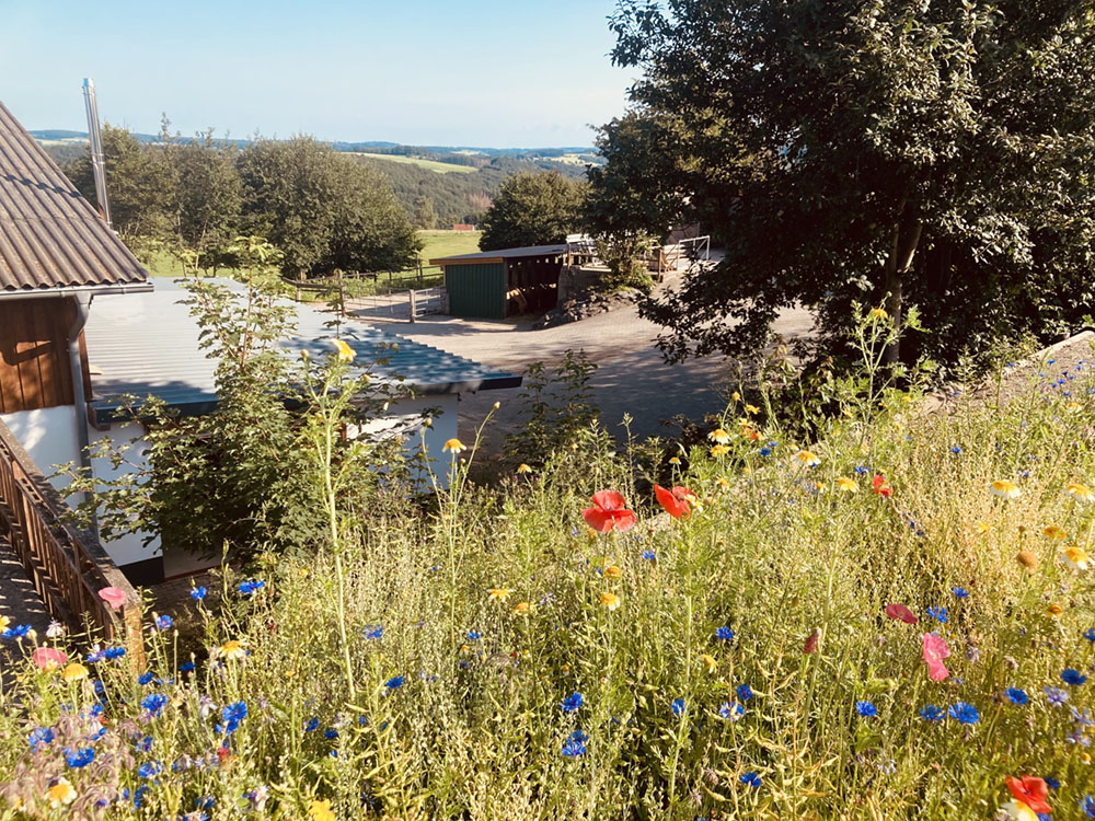 Hof_Fröhling_Impressionen_Pferdepension_04