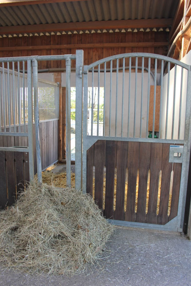 Hof_Fröhling_Impressionen_Pferdepension_23