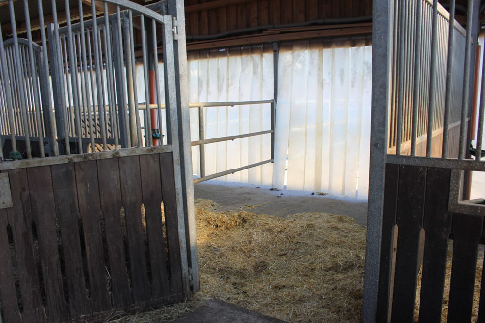 Hof_Fröhling_Impressionen_Pferdepension_24