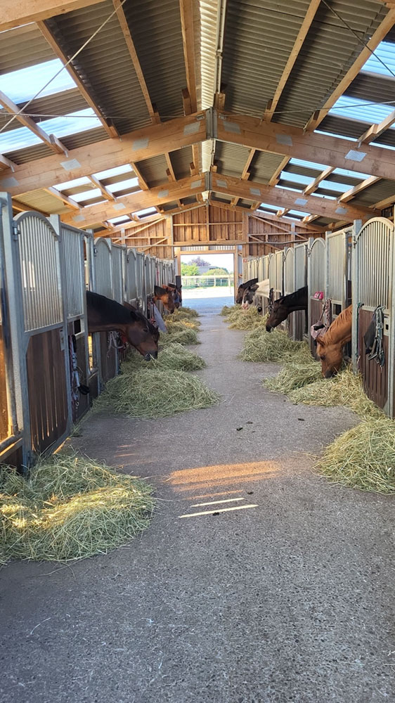 Hof_Fröhling_Impressionen_Pferdepension_27