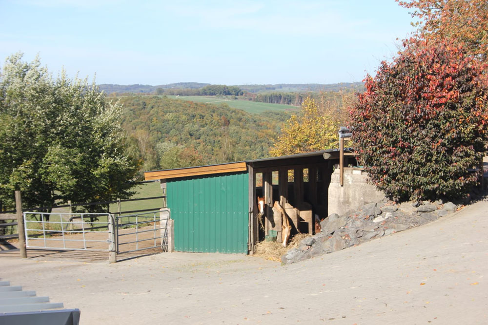 Hof_Fröhling_Impressionen_Pferdepension_29